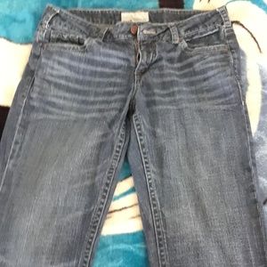 Maurices Bootcut Jeans